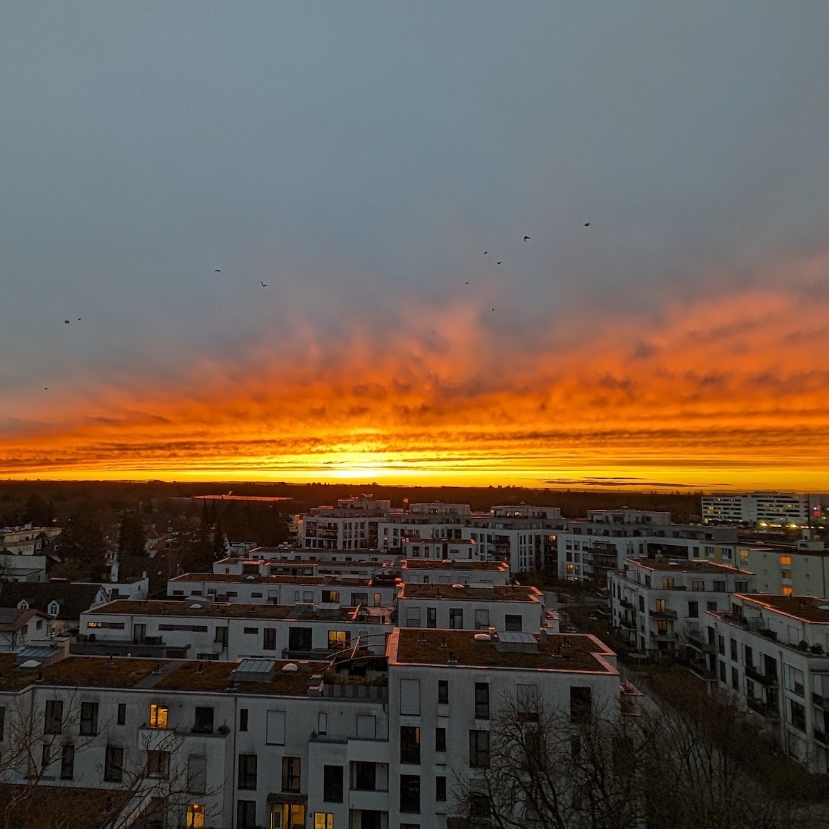 Teaser Bild:Neu Oktober 25